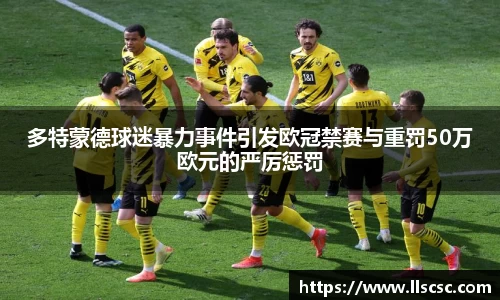 多特蒙德球迷暴力事件引发欧冠禁赛与重罚50万欧元的严厉惩罚