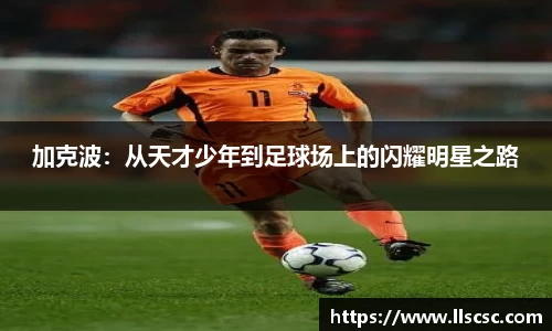 加克波：从天才少年到足球场上的闪耀明星之路